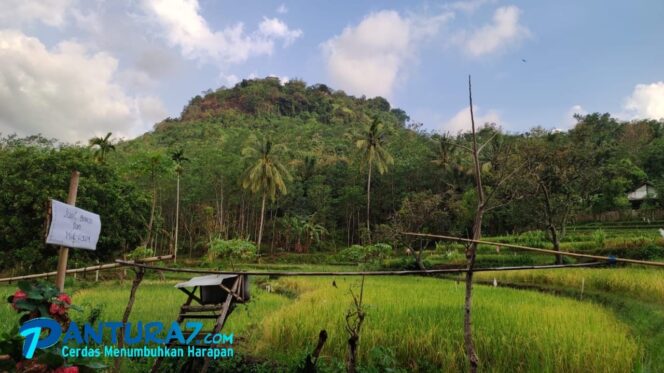 
					Petani Diminta Waspada Serangan OPT di Puncak Penghujan