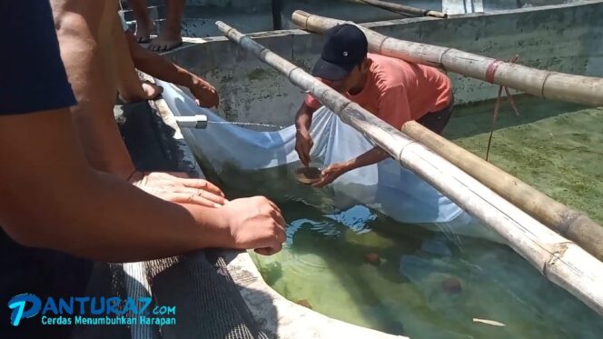 
					Pemkab Pasuruan Bakal ‘Sulap’ Winongan Jadi Kampung Ikan