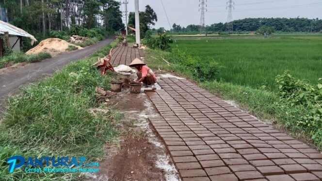 
					Nestapa Perajin Batu Bata, Produksi Merosot, Lahan Kosong Menyempit