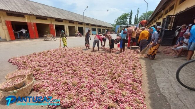 
					Tinggal 15% Petani Tanam, Stok Kurang, Bawang Merah Naik