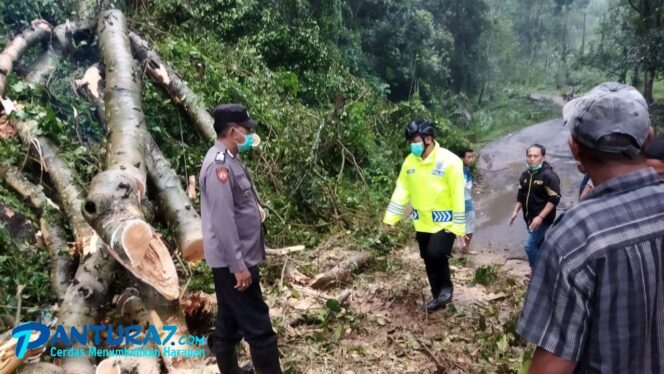 
					Tertimpa Pohon, Warga Lumbang Pasuruan Tumbang