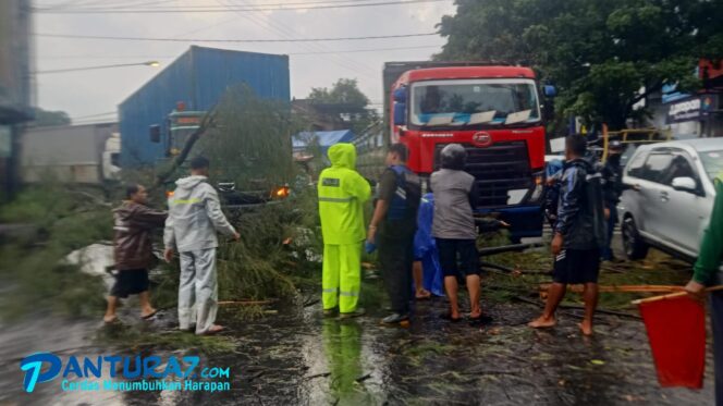 
					Pohon Tumbang di Pandaan, Lalin Lumpuh