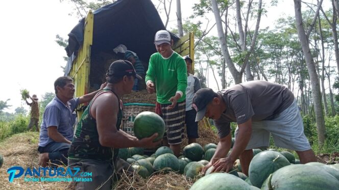 
					Jelang Ramadhan, Harga Semangka Justru Anjlok