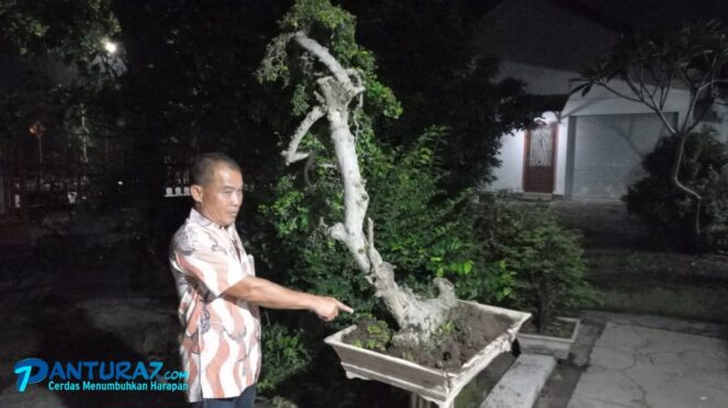 
					Pencurian Bonsai Digagalkan, Terduga Pelaku Babak Belur