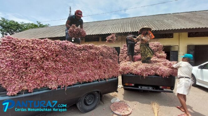 
					Ramadhan, Permintaan Bawang Merah 20 Ton per Hari