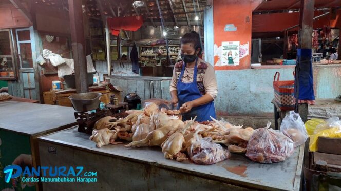 
					Bertahan RP40 Ribu Per Kg, Daging Ayam DiPrediksi Naik Jelang Lebaran