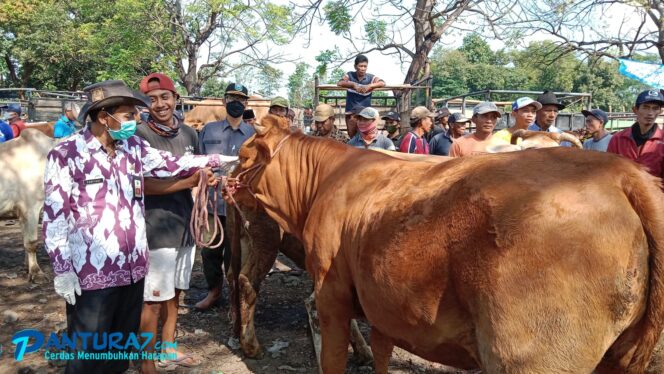 
					Sidak Virus PMK di Pasar Hewan Besuk, Yahyadi: Aman