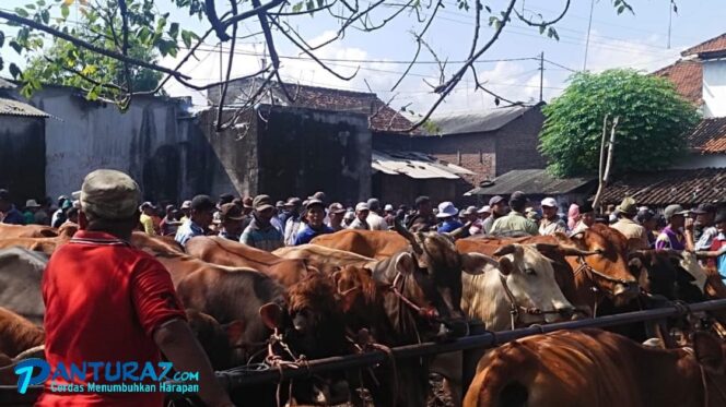 
					DPKH Tak Wacanakan Penutupan Pasar Hewan di Probolinggo