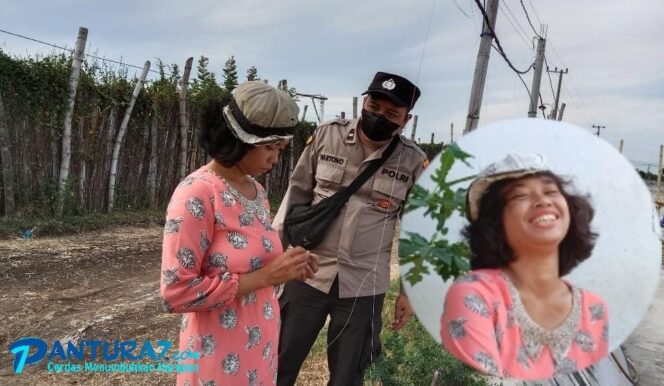 
					Wanita Linglung Ditemukan di Pantai Tambaksari Pajarakan, Ada yang Kenal?