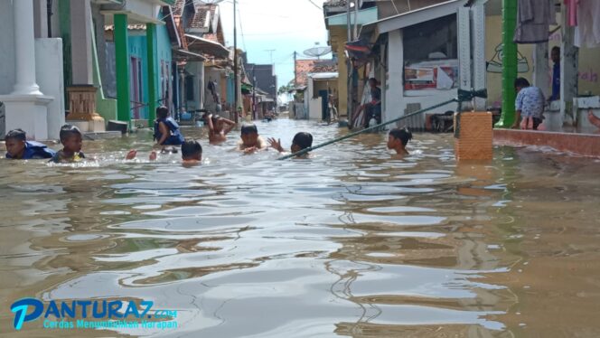 
					Aktivis Lingkungan Sebut Banjir Rob di Probolinggo Bencana Ekologis, Pemkab Diminta Peka