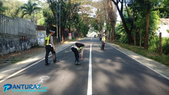 
					Tiga Motor Tabrakan di Prigen, Nyawa Warga Trawas Melayang