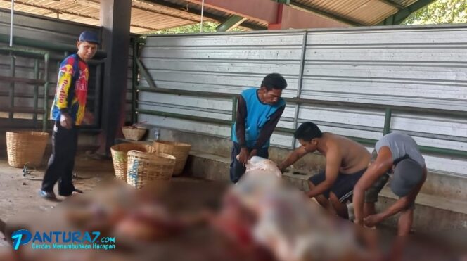 
					Jumlah Hewan Kurban Disembelih di RPH Pasuruan Meningkat 