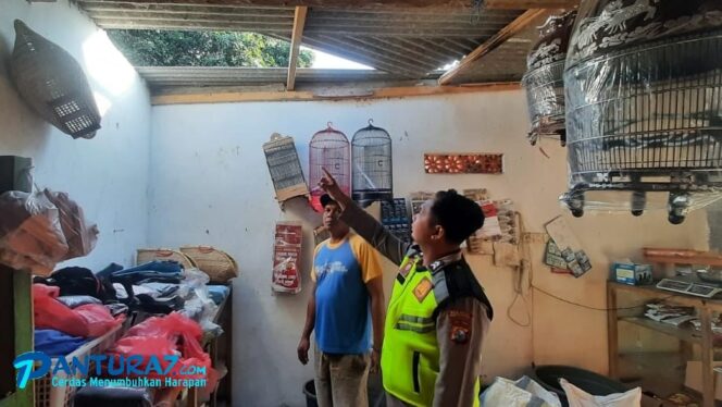 
					Toko Burung di Besuk Kembali Disatroni Maling, Pelaku tak Terungkap