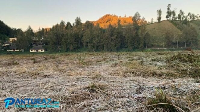 
					Embun Upas Selimuti Ranupani Lumajang, Serasa Pegunungan Alpen Eropa