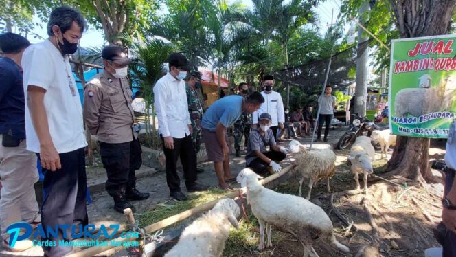 
					Sidak Hewan Kurban, Ditemukan Domba Sakit Mata dan Belum Poel