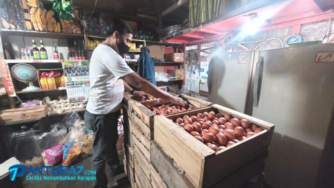 
					Pasokan Terbatas, Telur Ayam Tembus Rp30 Ribu 