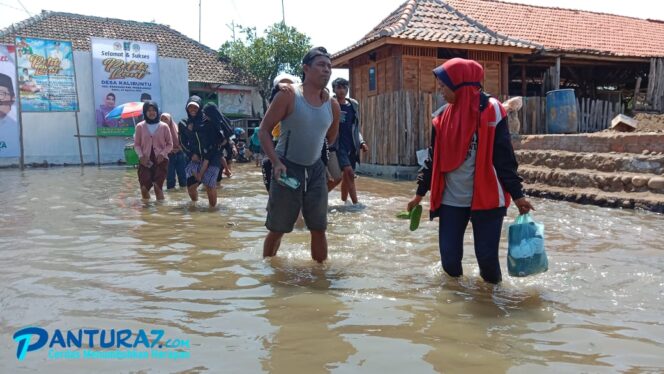 
					Usai Petik Laut, Banjir Rob Rendam Kalibuntu Kraksaan