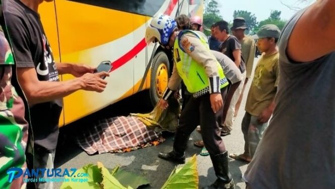 
					Gagal Nyalip, Pemotor asal Jember Tertabrak Bus di Lumajang 