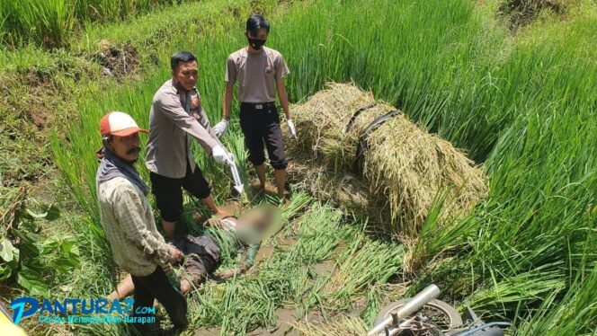 
					Pamit Cari Pakan Ternak, Ditemukan Tewas di Sawah