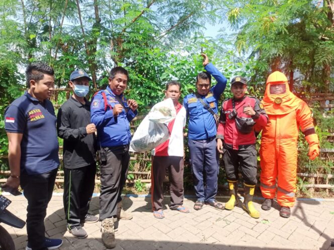 
					Damkar Evakuasi Sarang Lebah Madu di Lemari Warga