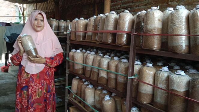 
					Ninik Mufarihah saat menunjukkan proses penanaman jamur tiram (Foto : Ainul Jannah) 