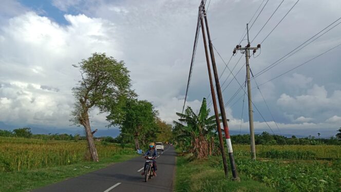 
					Delapan Tiang Telkom Miring, Rawan Roboh di Jalan Desa