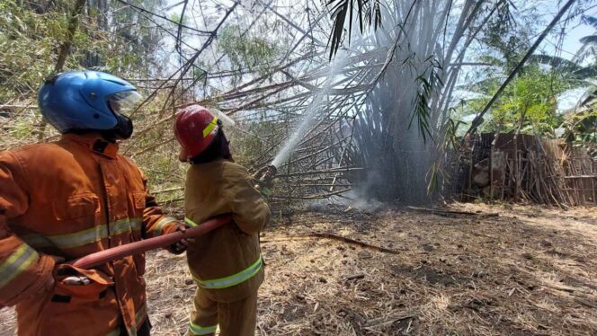 
					Bakar Sampah, Rumpun Bambu Terbakar Nyaris Sambar Rumah