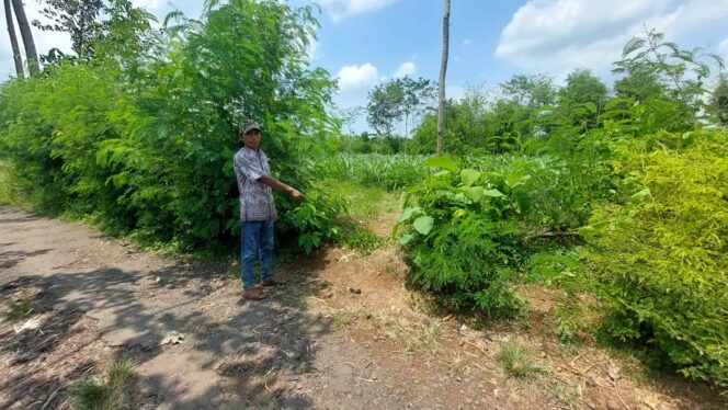 
					Ditinggal Cari Rumput, Motor Warga Desa Wonorejo Digondol Pencuri