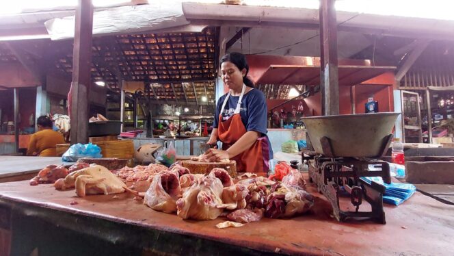 
					Stok Cukup, Harga Daging Ayam Broiler Justru Naik