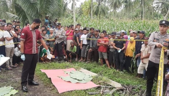 
					Sebulan, Pelaku Pembunuhan Janda Muda Lumajang Belum Tertangkap