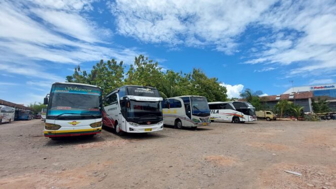 
					Libur Nataru, Organda Sebut Sewa Bus Pariwisata Naik 80%