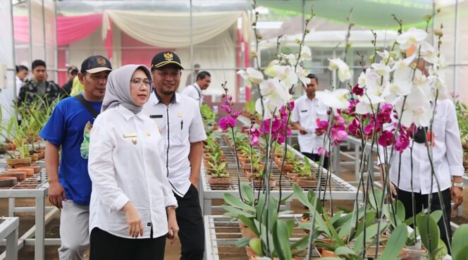 
					KAMPUNG BUNGA: Wabup Lumajang, Indah Amperawati, usai meresmikan Green House di Desa Purworejo, Senduro. (foto: Asmadi)