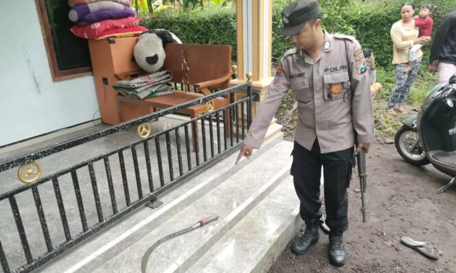 
					DUEL: Polisi menunjukkan lokasi duel yang melibatkan dua warga Lumajang. (foto: Asmadi)