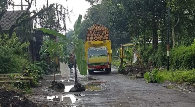 
					RUSAK: Salah satu ruas kerusakan jalan di Kecamatan Klakah, Lumajang, ditanami pohon pisang. (teks foto: Asmadi) 