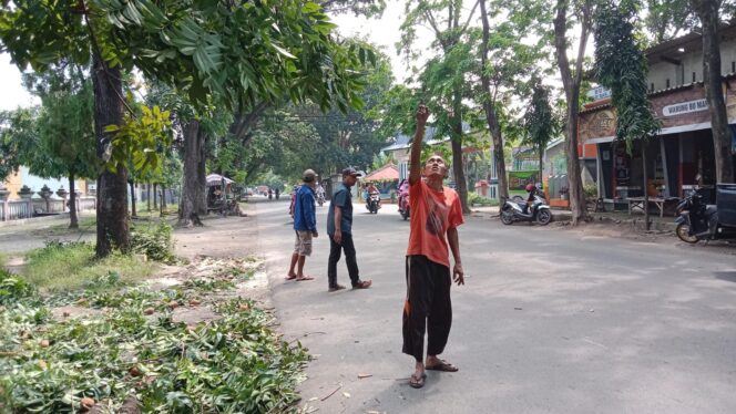 
					POHON TUMBANG: Warga menunjukkan pohon tumbang yang menimpa pengendara sepeda motor. (foto: Ainul Jannah)