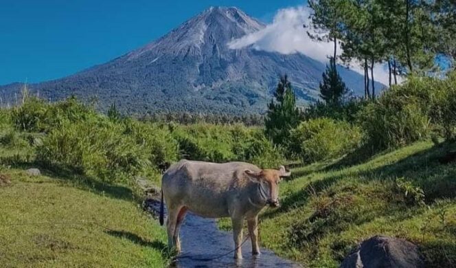 
					DITUTUP: Jalur pendakian ke Gunung Semeru di Kabupaten Lumajang masih ditutup. (foto: Asmadi)