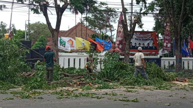 
					DIPOTONG: Petugas DLH Kabupaten Probolinggo saat memotong ranting pohon membahayakan di jalur pantura Kraksaan. (foto: Ainul Jannah)