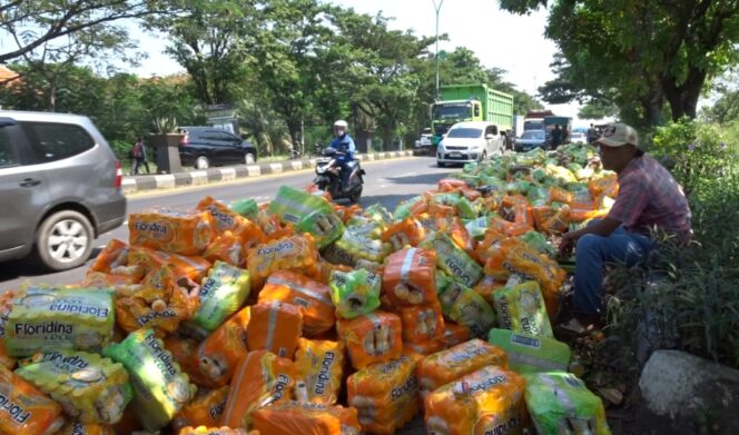 
					JEBOL: Minuman botol kemasan berceceran di jalur pantura Raci. (foto: Moh. Rois).