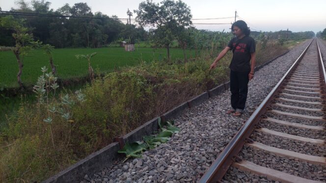 
					Warga menunjukkan lokasi korban usai tertabrak kereta api.