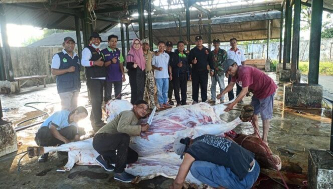 
					DIPOTONG: Proses pemotongan hewan qurban dari Prabowo Subianto oleh pengurus DPC Gerindra Lumajang. (foto: Asmadi)