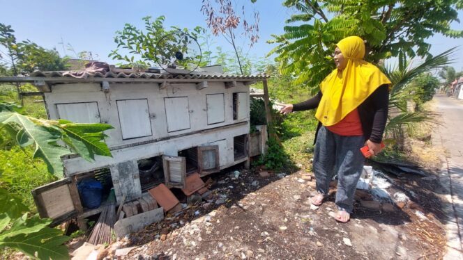 
					Pemilik ayam menunjukkan lokasi kandang ayam yang dicuri.