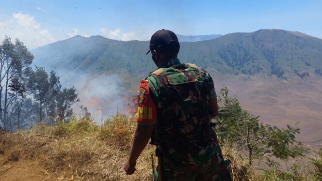 
					 TERBAKAR: Kebakaran hutan terjadi di TNBTS wilayah Lumajang, tepatnya di Blok Bantengan, Desa Ranupani, Senduro. (foto: Asmadi)