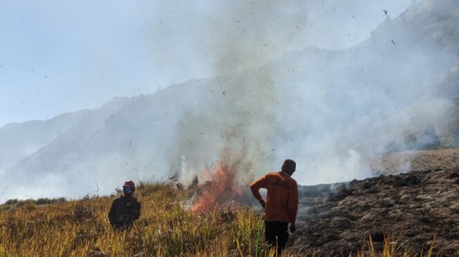 
					DIPADAMKAN: Proses pemadaman api di Blok Bantengan, Desa Ranupani, Senduro, Lumajang. (foto: Asmadi)