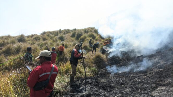 
					TERBAKAR: Kebakaran lahan di kawasan hutan TNBTS, tepatnya di Blok Bantengan, Desa Ranupani, Senduro. (foto: Asmadi)