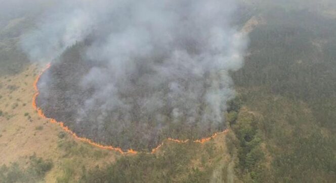 
					KARHUTLA: Kebakaran hutan dan lahan di lereng Gunung Arjuno dari pantauan udara. (foto: IG khofifah.ip)