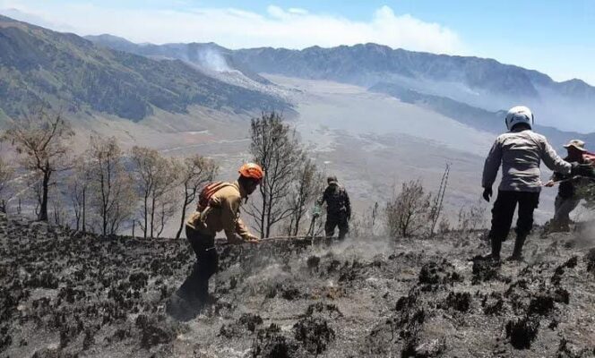 
					PADAM: Petugas gabungan saat memadamkan sisa api di wilayah TNBTS Kabupaten Lumajang. (foto: Asmadi)