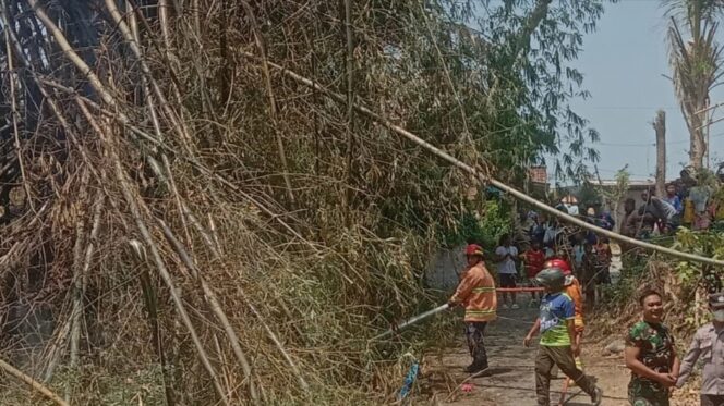 
					Rumpun Bambu Terbakar, Daun Beterbangan ke Perumahan Warga