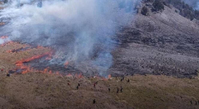 
					KARHUTLA: Bukit Teletubbies Bromo terbakar diduga akibat nyala flare dari PRE&wed pengunjung. (foto: istimewa)