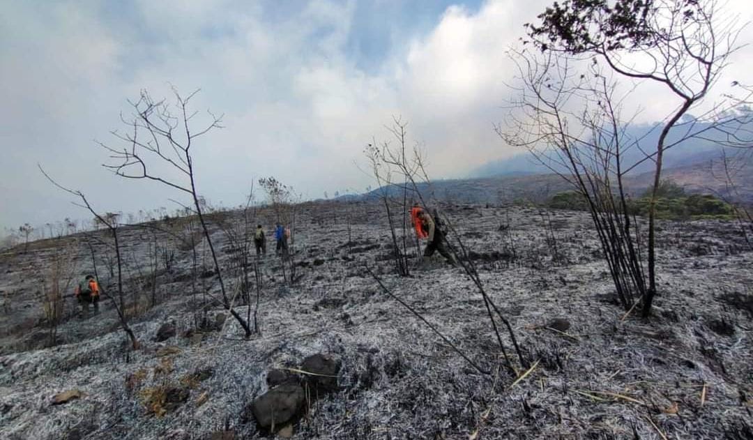 Puluhan Saluran Air Rusak Akibat Kebakaran Hutan Di Gunung Arjuno ...