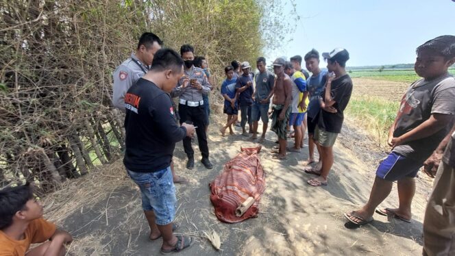 
					BIKIN HEBOH: Polisi melakukan proses identifikasi pada jenazah yang ditemukan di Desa Pesisir, Kab. Probolinggo. (foto: Hafiz Rozani)